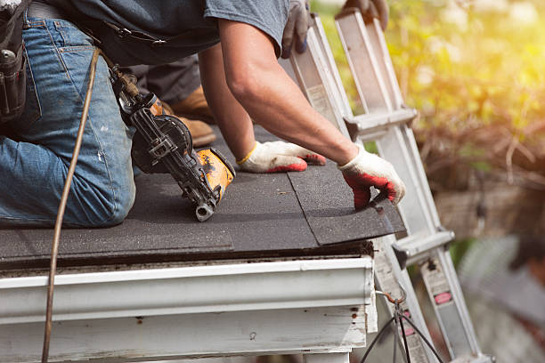 Best Roof Gutter Cleaning  in Whitwell, TN